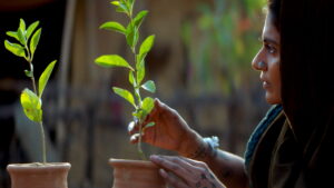 Saas, Bahu Aur Flamingo