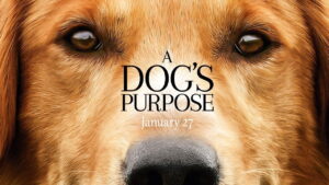 A Dog’s Purpose