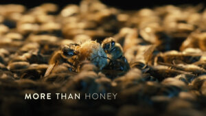 More Than Honey