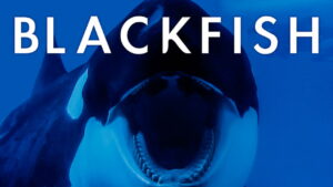 Blackfish