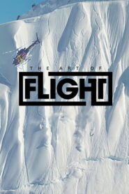 Art of Flight: The Series