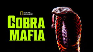 Cobra Mafia