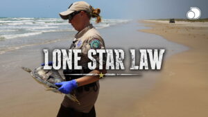 Lone Star Law