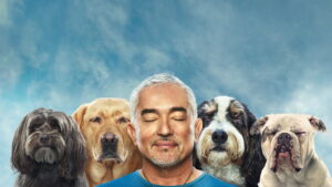 Cesar Millan: Better Human Better Dog
