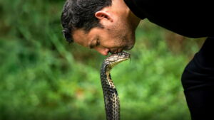 David Blaine: Do Not Attempt