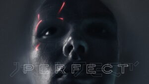 Perfect