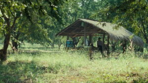Uncle Boonmee Who Can Recall His Past Lives