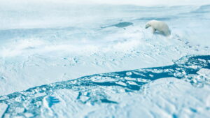 Arctic From Above with Liz Bonnin