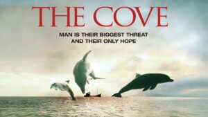 The Cove