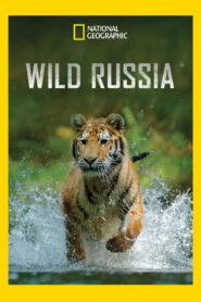 Wild Russia