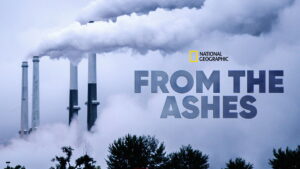 From the Ashes