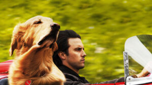 The Art of Racing in the Rain