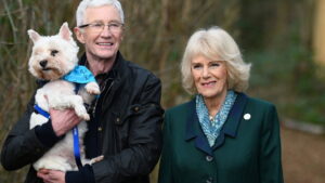 For the Love of Dogs with Alison Hammond