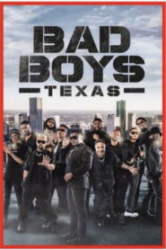 Bad Boys: Texas