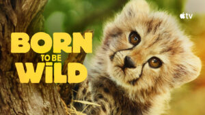 Born to be Wild (2025)