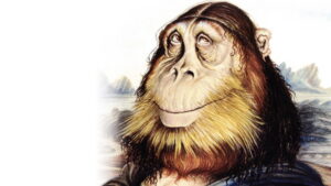 Drunk Stoned Brilliant Dead