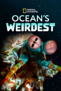Ocean’s Weirdest