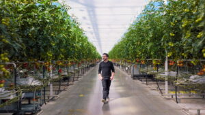 A Brief History of The Future