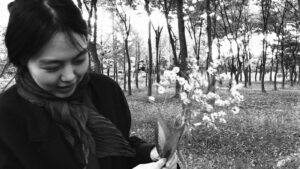 The Novelist’s Film