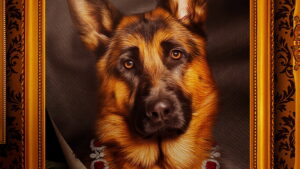 Gunther’s Millions