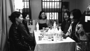The Novelist’s Film