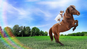 Adventures of Dally and Spanky