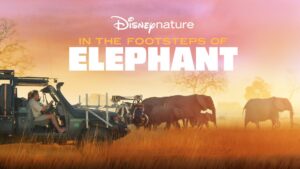 In the Footsteps of Elephant