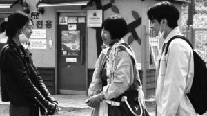 The Novelist’s Film