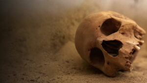 Lost Tombs of the Pyramids