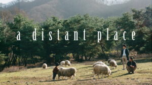 A Distant Place