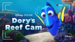 Dory’s Reef Cam