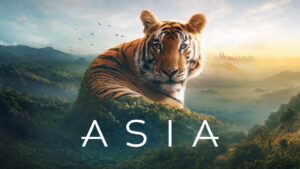 Asia (2024)