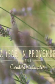 A Year In Provence with Carol Drinkwater