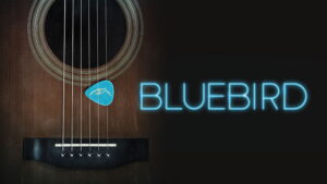 Bluebird
