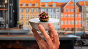 Knife Edge: Chasing Michelin Stars