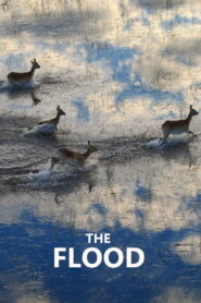 The Flood (2018)