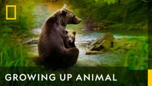 Growing Up Animal