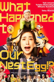 What Happened to Our Nest Egg!?