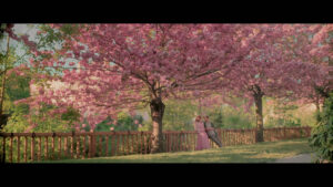 Together, We Shall Die