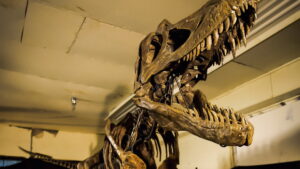 Dino Death Match