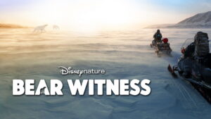 Bear Witness