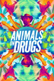 Animals On Drugs