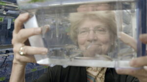 Picture a Scientist