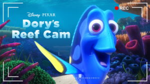 Dory’s Reef Cam