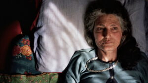 The Disappearance of My Mother