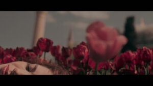 Together, We Shall Die