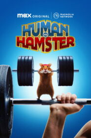 Human vs Hamster