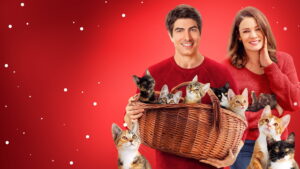 The Nine Kittens of Christmas