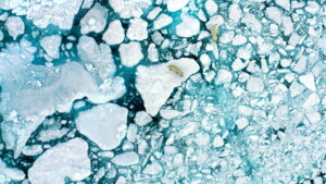 The Last Ice