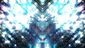 Bufo Alvarius – The Underground Secret